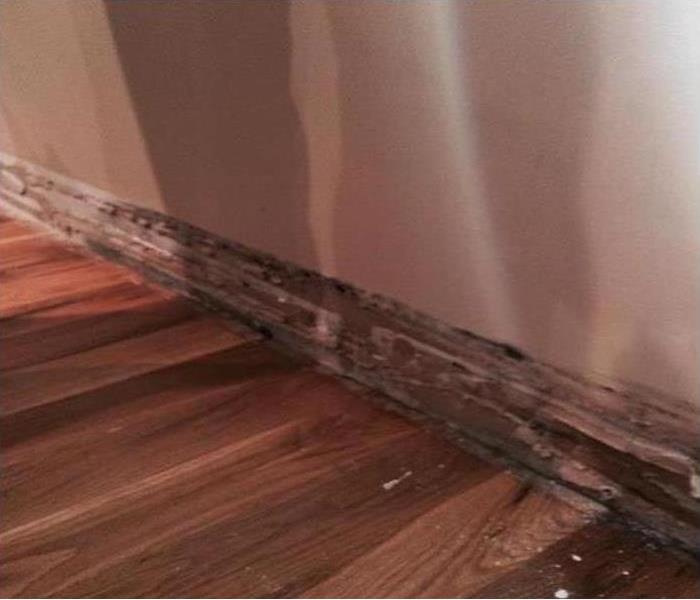 Damaged Drywall