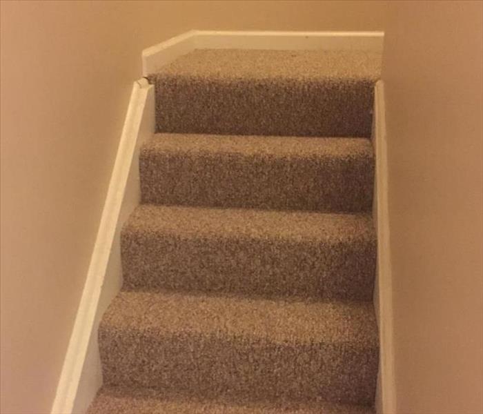 new carpeted stairs 