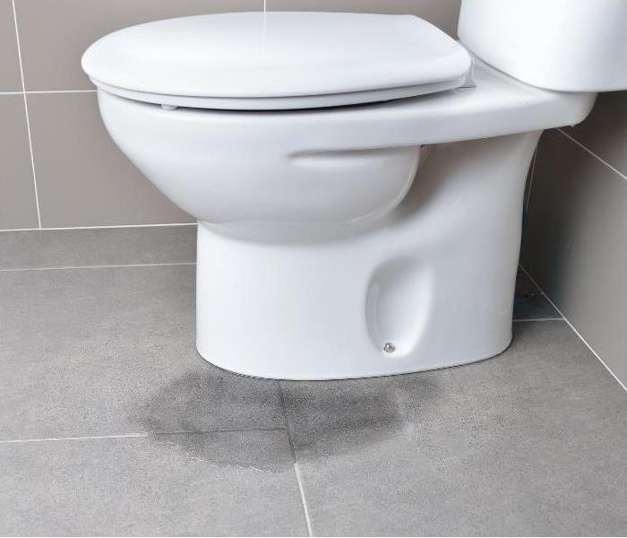 Toilet leaking at base from a damaged toilet seal