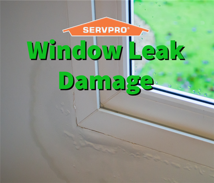 A window leak causing water damage in an Alpharetta property 