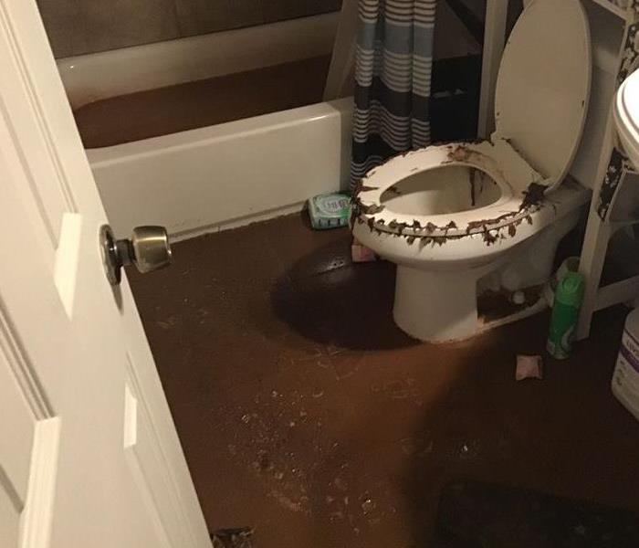 Toilet overflow water damage 