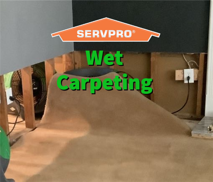 Wet carpeting being dried by SERVPRO of North Fulton professionals